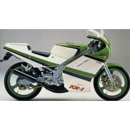KAWASAKI KR1 250