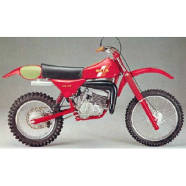 BETA MX 250